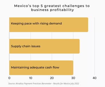 WhitePaper-State-of-B2B-Mexico_Graphic2_Stats